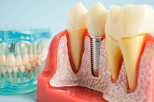 Best Oral Surgery  in Grantsville, UT